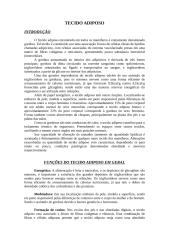 TECIDO ADIPOSO Texto(edit).doc