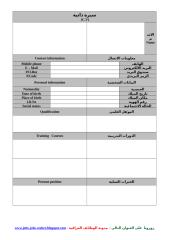 Arabic & English CV 009.doc