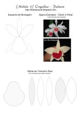 [biscuit molde] orchid - orquidea3 (porcelana fria).pdf