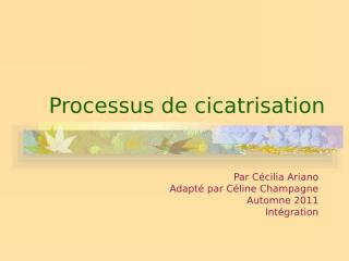 Processus_de_cicatrisation.ppt